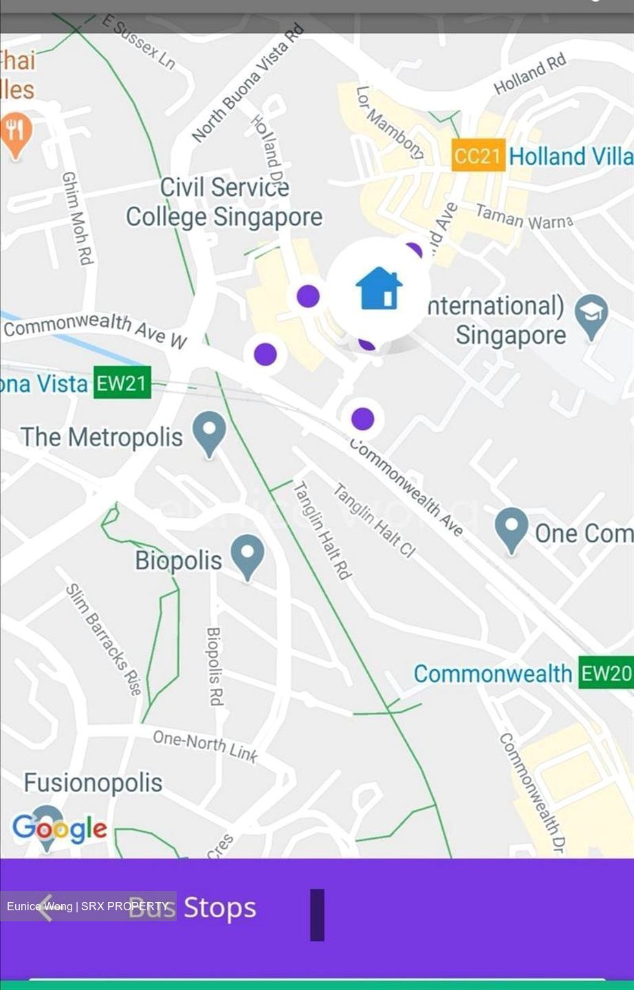Holland Avenue (Queenstown), HDB HUDC #554670481